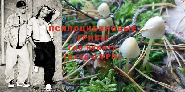 индика Баксан