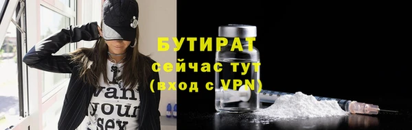 индика Баксан
