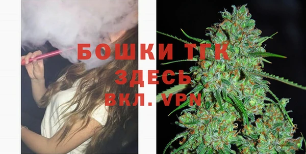 индика Баксан