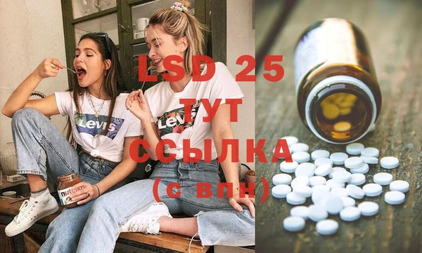 индика Баксан